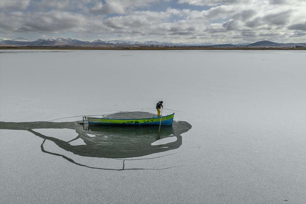 Yeniden hayat bulmaya başlayan Konya Beyşehir Gölü’nde ekmek kavgası 6